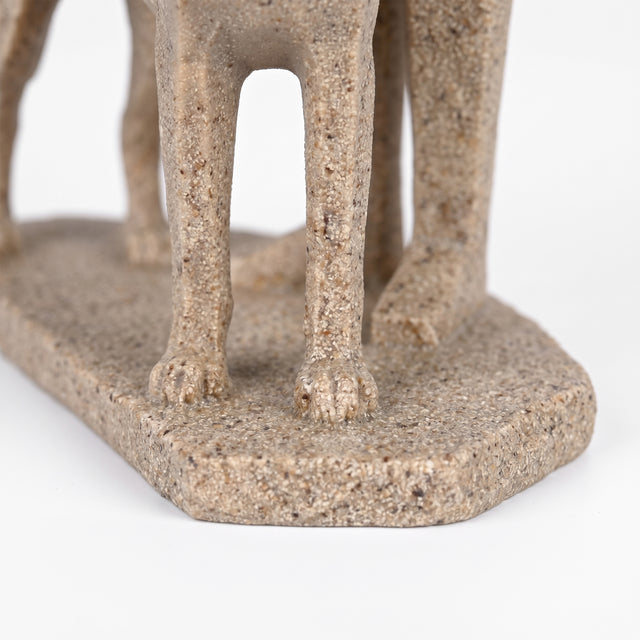 Dog Legs And Base Texture Detail