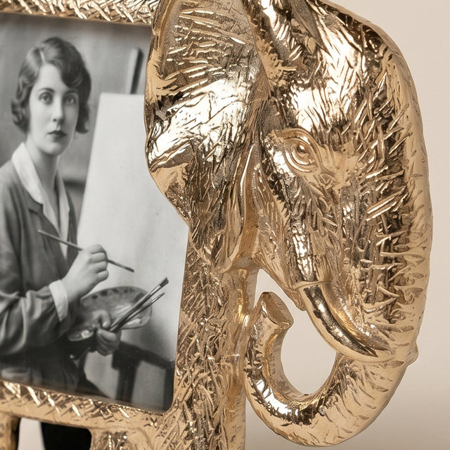 Elephant frame side detail shot