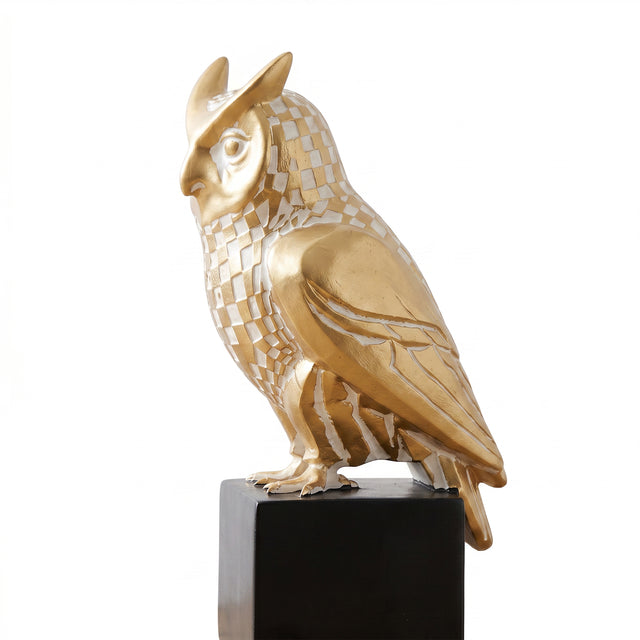 Side View Of Checkered Gold Owl