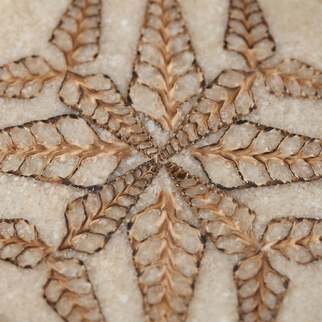 Topview eight pointed leaf carving stone surface