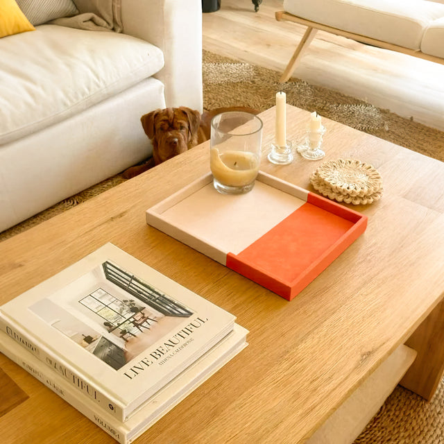 White Orange Color Block Leather Wrapped Organizer Tray in the Living Room