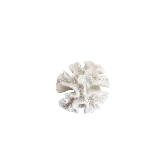 White Textured Mushroom Coral Decor
