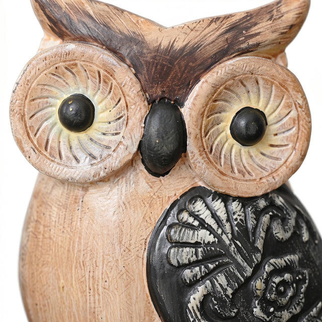 Wood Owl Face And Big Eyes Close Up