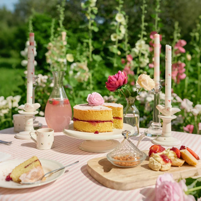 cake plate with conical lid for outdoor gathering