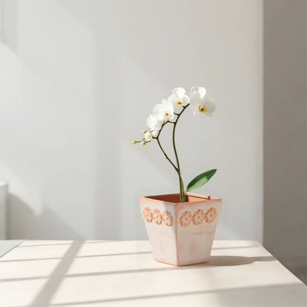 clay vase chamomile pattern