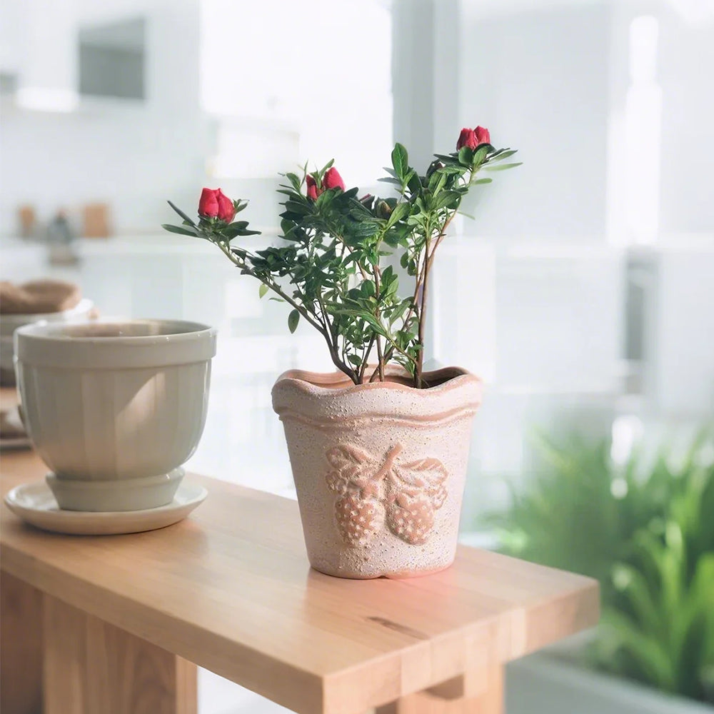 clay vase filled with flowers on the table 2