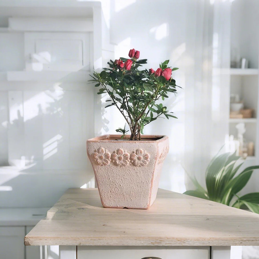 clay vase filled with flowers on the table 3