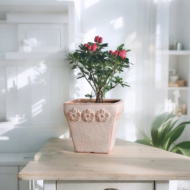 clay vase filled with flowers on the table 3
