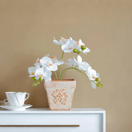 clay vase grape pattern