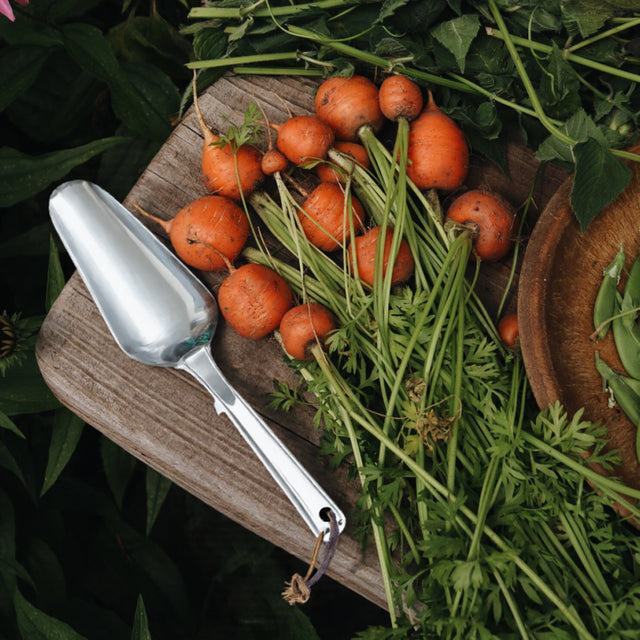 garden trowel harvested carrots