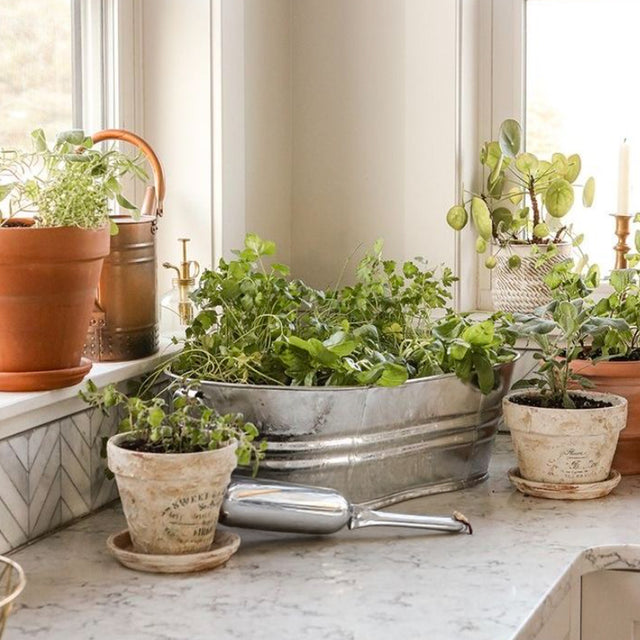 indoor garden tools