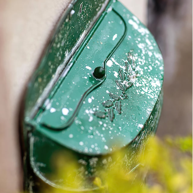iron wall mailbox details
