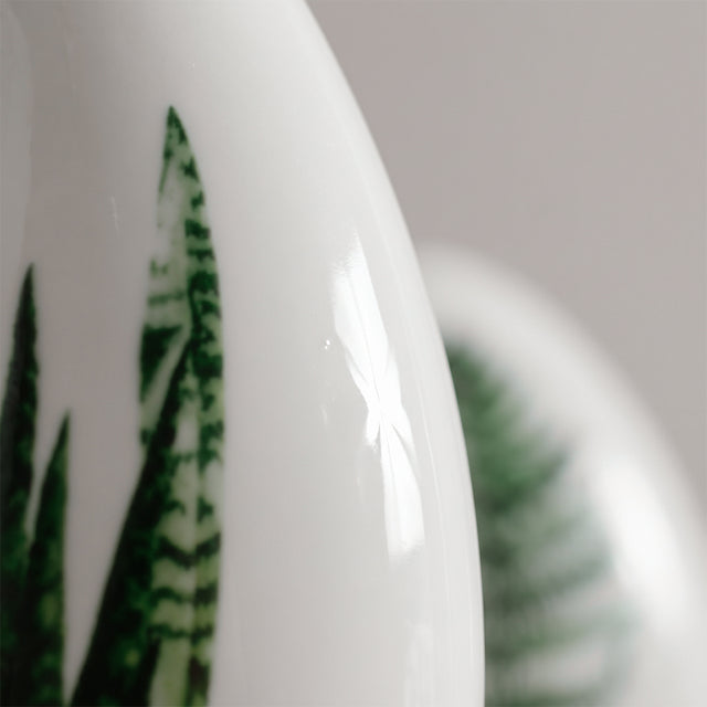 macro shot of snake plant leaf print details