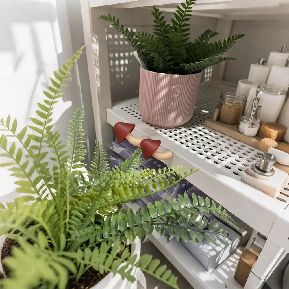 mushroom refrigerator magnet stuck on the iron shelf