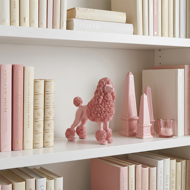 pink poodle on bookshelf with books