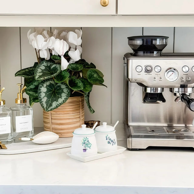 plant ceramic condiment set beside the coffee machine