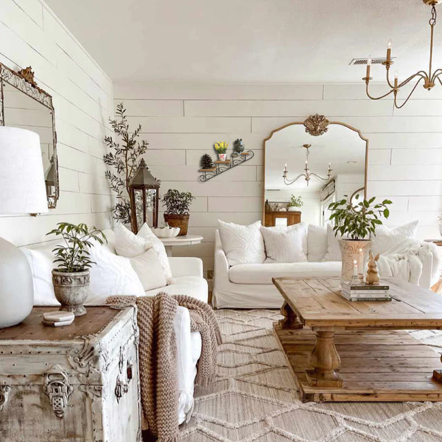 plant holder wall shelf on the wall