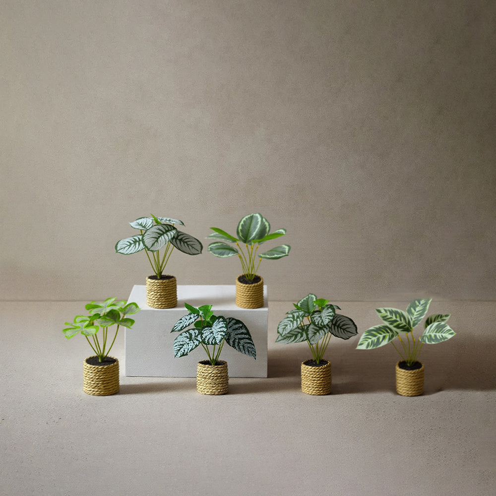 plastic-large-leaf-decorative-potted-plant-set-0701