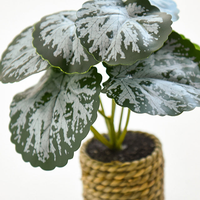 plastic-large-leaf-decorative-potted-plant-set-close-up-0701