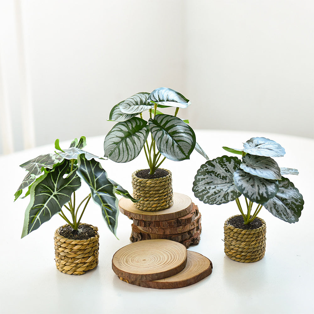plastic-large-leaf-decorative-potted-plant-set-scene-0701
