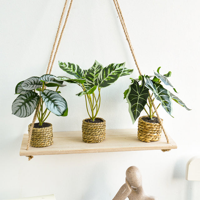 plastic-large-leaf-decorative-potted-plant-set-scene-07011