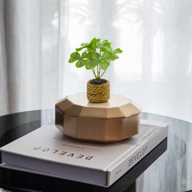 plastic-large-leaf-decorative-potted-plant-set-scene-07012