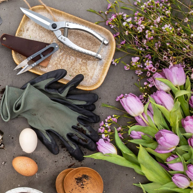 pruning shears trim flower stems