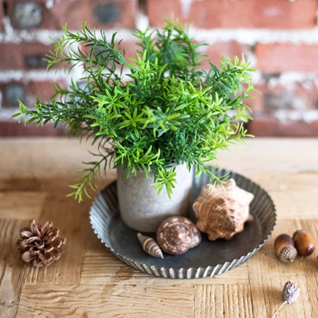 round storage tray for plant