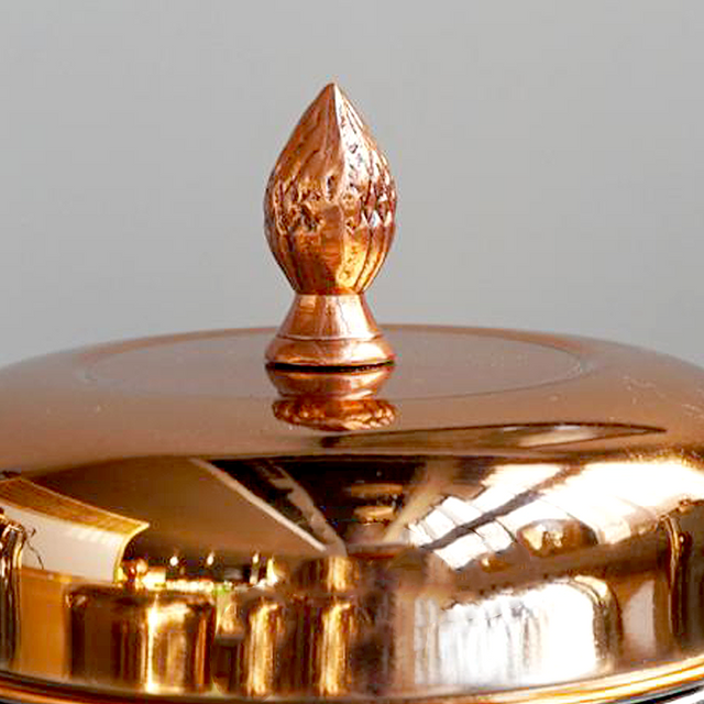 stainless steel sealed coffee storage canister with a pineapple handle details