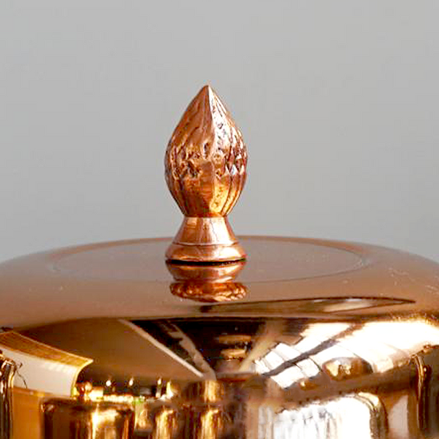 stainless steel sealed tea storage canister with a pineapple handle details