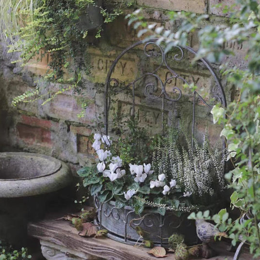 wall-hanging-tabletop-iron-flower-basket-scene-05271