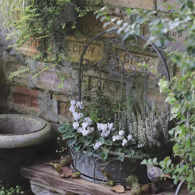 wall-hanging-tabletop-iron-flower-basket-scene-05271