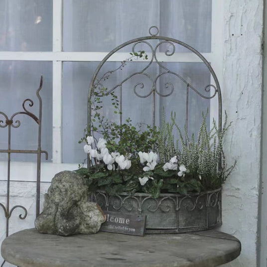 wall-hanging-tabletop-iron-flower-basket-scene-05273