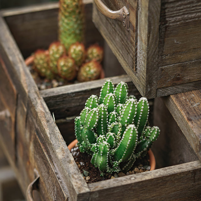 wood planter box 1 drawer details