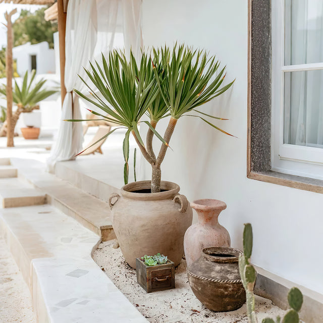 wood planter box 1 drawer outdoor