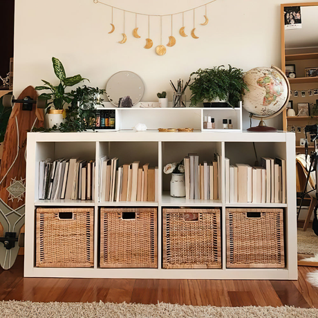 Living Room Storage