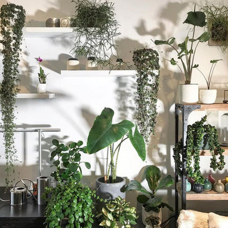 Outdoor Wall Decor