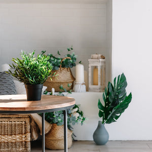 Spring Accessories