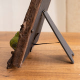 American-vintage-resin-bird-themed-picture-frame-close-up-0609