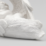 Angel body wing- exture detail shot