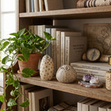 Bird Figurine Set On Wooden Bookshelf
