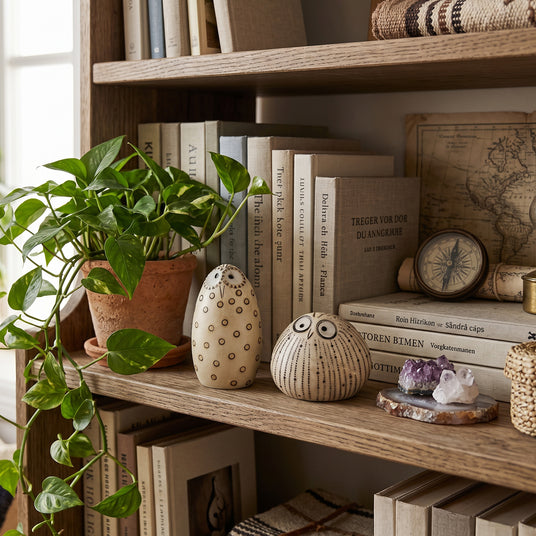 Bird Figurine Set On Wooden Bookshelf