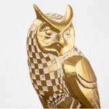 Checkered Owl Head And Face Close Up