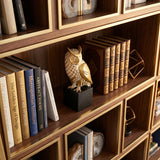 Checkered Owl Sculpture On Wooden Bookshelf