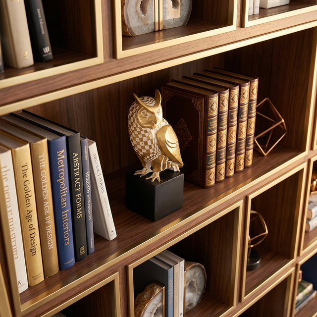 Checkered Owl Sculpture On Wooden Bookshelf