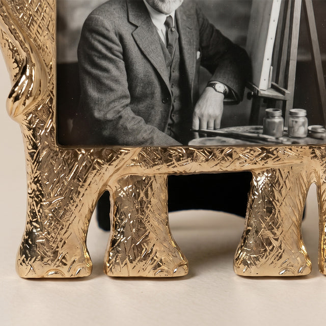 Closeup textured elephant photo frame