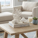 Coral Shell Set On Coffee Table
