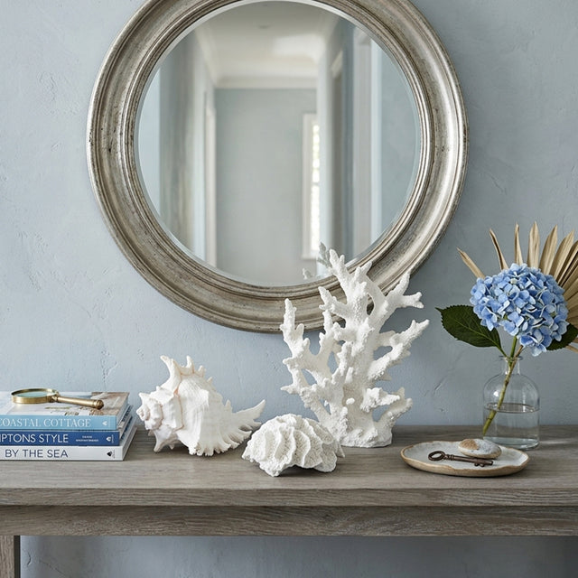 Coral Shell Set On Grey Console Table