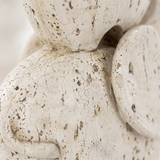 Crackled Stone Texture Surface Detail