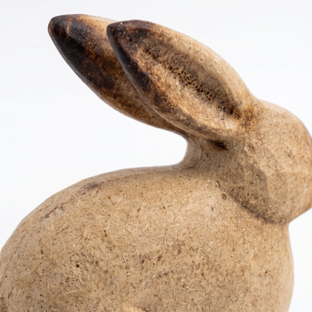 Distressed Wood Texture On Bunny Ears